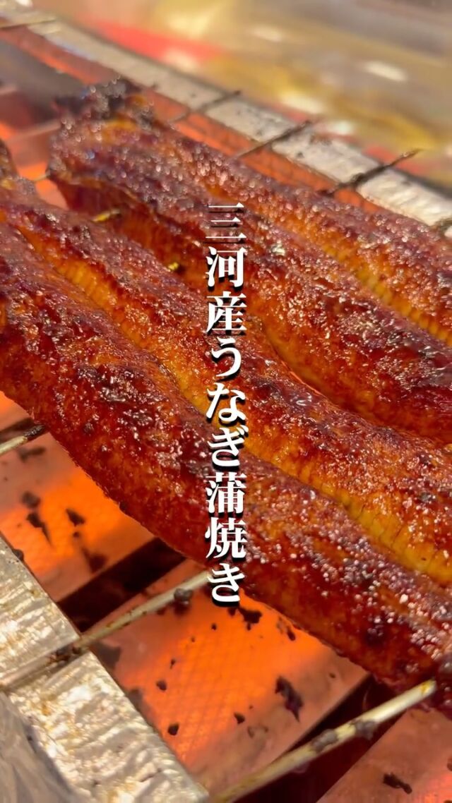 今年も土用の丑の日がやってくる！
鰻を食べて夏を乗り切るスタミナをつけましょう！
魚太郎では毎年恒例の焼きたて販売開催致します✨
今年は特に鰻がめちゃくちゃお値打ちなのでぜひお買い求めください🫢
皆様のご来店お待ちしています☺️
#魚太郎ラグーナ蒲郡店