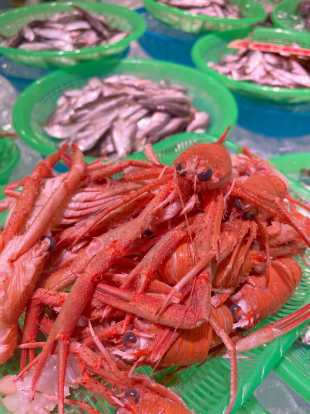 伊勢湾・三河湾は魚貝の宝庫、愛知県の主要漁港でセリ権を持つ俺たち。
ぴかぴかの魚貝類が水揚げ後すぐに魚市場に並びます！  ＼今日のおすすめ／
形原漁港よりコシオリエビが入荷！お刺身は甘エビのような味がして美味しいですよ！残った頭はお味噌汁へ！！
唐揚げにベストサイズの豆鯵も！
鮮度抜群のコイカもオススメ！塩茹で美味しいです！！  わからないことはお気軽に！　そんな疑問、全部魚太郎が解決します！  魚が捌けなくても大丈夫！
対面鮮魚コーナーでは無料で下処理行います。
毎日魚を扱うプロの魚屋にお任せ！  本日も沢山のピカピカの地魚と活気あふれるスタッフで
皆様のご来店をお待ちしております！  鮮魚市場に併設した、魚屋の浜焼きバーベキューがありますので
市場で買ってそのまま焼いて食べることが可能です！  最新入荷はストーリーズで配信中！
フォロー＆チェックしてくださいね！  皆様の「美味しい！」の声が、俺たちの元気の源です！  ▷入荷商品のお問合せは、お電話にてお願いします
▶その他お問合せDMではタイムリーな返答が致しかねます
体制が整っておらず、申し訳ありません🙇  -————————————————
📌ラグーナテンボス　フェスティバルマーケット内1F
店舗の場所は、観覧車の下が目印です🎡  🐟魚太郎ラグーナ蒲郡店 鮮魚市場
営業時間：　10：00～18：00
※海鮮丼・寿司のイートインコーナーあり  🔥魚太郎浜焼きバーベキュー ラグーナ蒲郡店
営業時間：
平日10:00～17:00(最終受付15:00)
土日祝　10：00～19：00(最終受付17:00)
土日祝は　19：00迄　延長中
駐車場：魚太郎浜焼きバーベキュー利用で最大5時間無料サービスあり
(夏休み　2025/7/19-8/31は）
10：00～20：00（受付最終18:00）
#魚太郎ラグーナ蒲郡店
