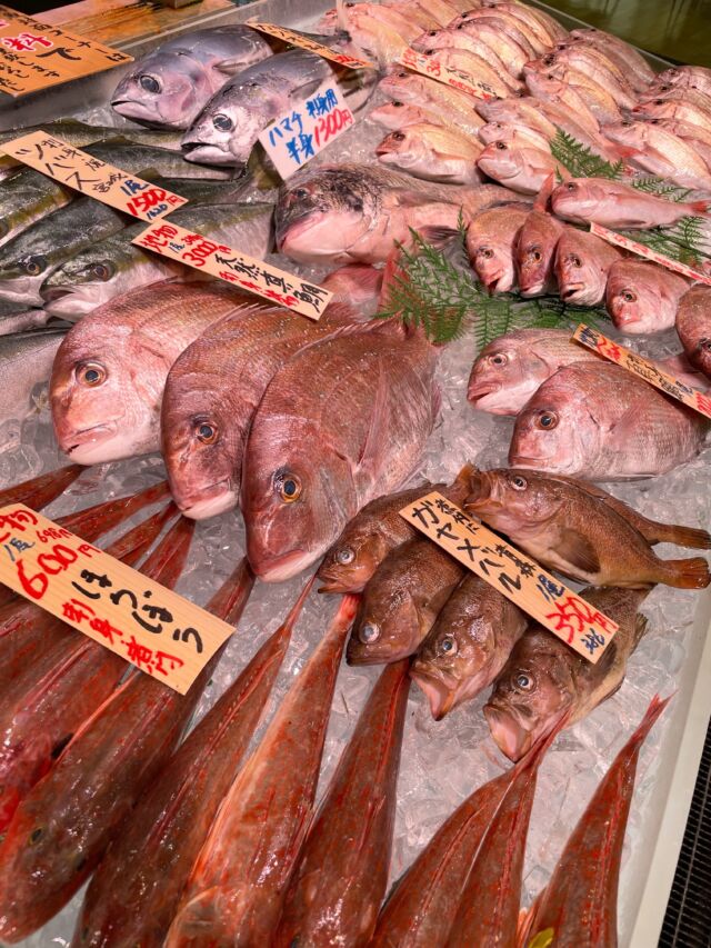 伊勢湾・三河湾は魚貝の宝庫、愛知県の主要漁港でセリ権を持つ俺たち。
ぴかぴかの魚貝類が水揚げ後すぐに魚市場に並びます！  ＼今日のおすすめ／
南知多産の豆アジです！
今の季節限定です！マアジの小さい稚魚ですが
味はしっかりとアジです！🐟
小さい分骨が気にならず粉をつけてカラッと揚げて
唐揚げや南蛮漬けでお楽しみいただけます！  わからないことはお気軽に！　そんな疑問、全部魚太郎が解決します！  魚が捌けなくても大丈夫！
対面鮮魚コーナーでは無料で下処理行います。
毎日魚を扱うプロの魚屋にお任せ！  本日も沢山のピカピカの地魚と活気あふれるスタッフで
皆様のご来店をお待ちしております！  鮮魚市場に併設した、魚屋の浜焼きバーベキューがありますので
市場で買ってそのまま焼いて食べることが可能です！  最新入荷はストーリーズで配信中！
フォロー＆チェックしてくださいね！  皆様の「美味しい！」の声が、俺たちの元気の源です！  ▷入荷商品のお問合せは、お電話にてお願いします
▶その他お問合せDMではタイムリーな返答が致しかねます
体制が整っておらず、申し訳ありません🙇  -————————————————
📌ラグーナテンボス　フェスティバルマーケット内1F
店舗の場所は、観覧車の下が目印です🎡  🐟魚太郎ラグーナ蒲郡店 鮮魚市場
営業時間：　10：00～18：00
※海鮮丼・寿司のイートインコーナーあり  🔥魚太郎浜焼きバーベキュー ラグーナ蒲郡店
営業時間：
平日10:00～17:00(最終受付15:00)
土日祝　10：00～19：00(最終受付17:00)
土日祝は　19：00迄　延長中
駐車場：魚太郎浜焼きバーベキュー利用で最大5時間無料サービスあり
(夏休み　2025/7/19-8/31は）
10：00～20：00（受付最終18:00）
#魚太郎ラグーナ蒲郡店